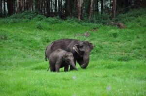 Quand partir au Kerala ?