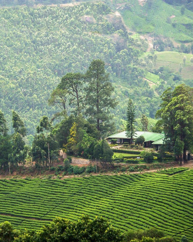 En route Periyar