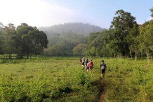 Voyager au nord du Kerala