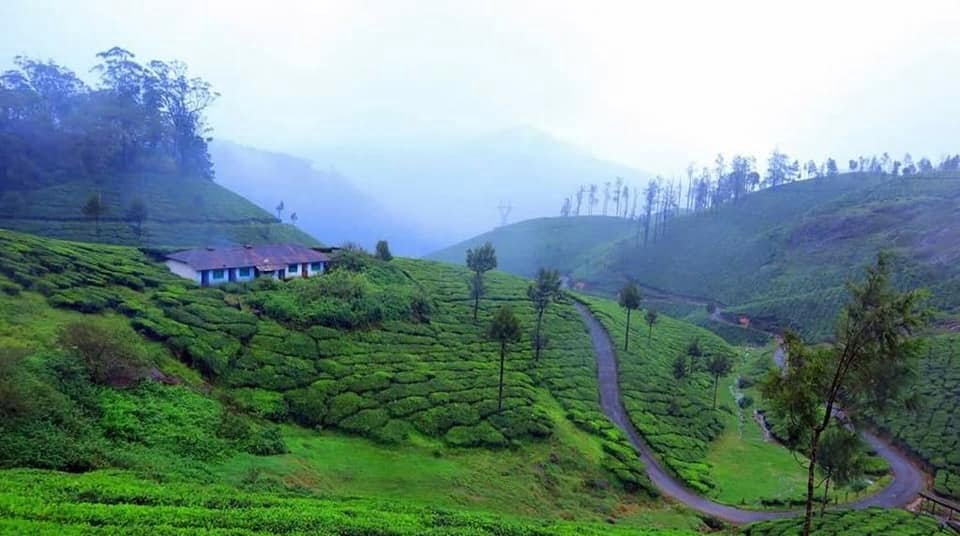 Munnar, Kerala