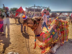 Découvrez la diversité des espèces animales en Inde