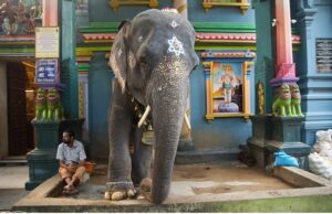 Guide de Voyage de Pondichéry, “patrimoine français en Inde”
