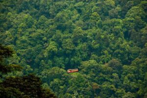 Top Station: Paysage Panoramique de Munnar