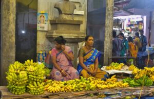 30 Meilleurs Endroits à Visiter dans le Sud de l’Inde 2024.