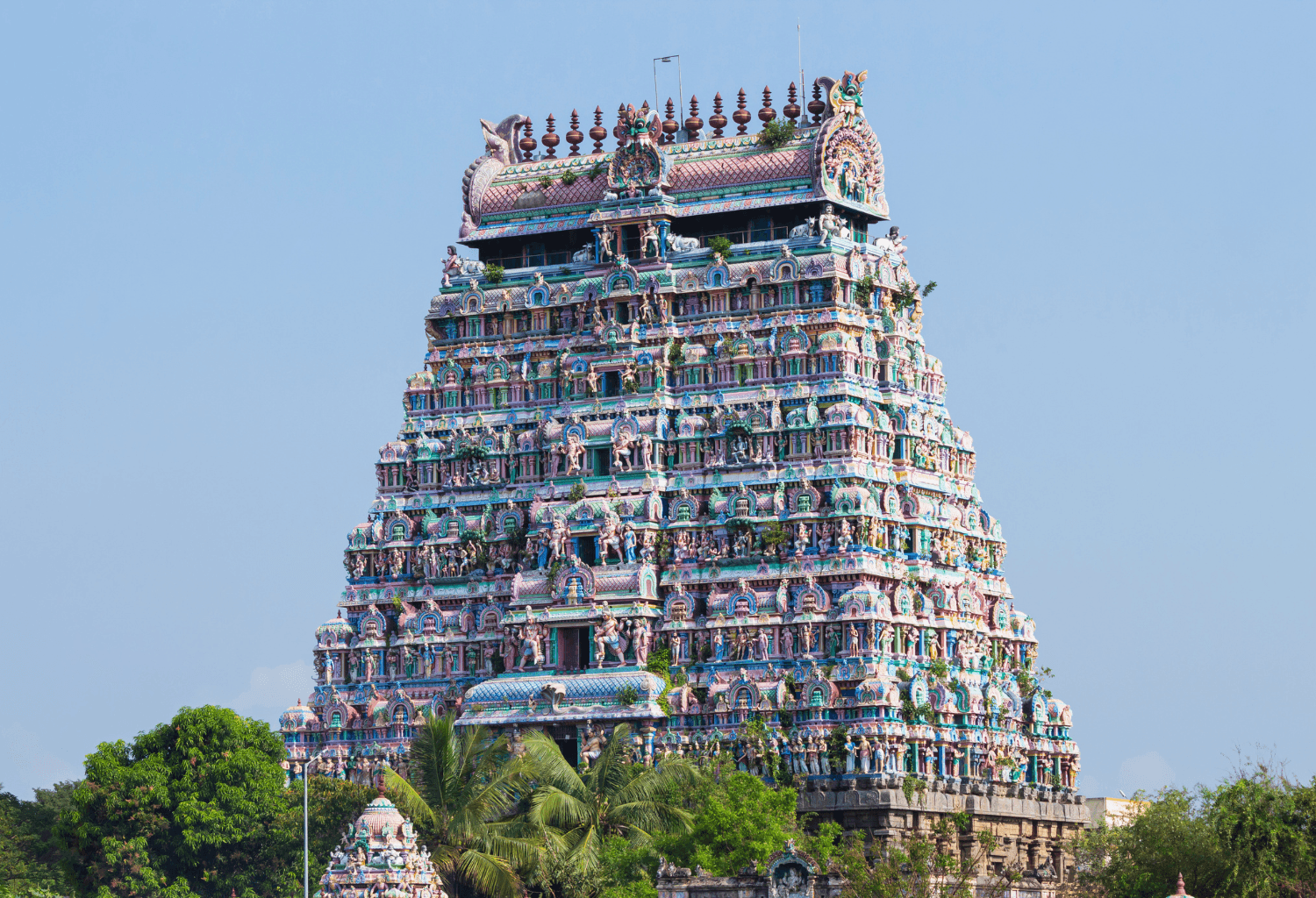 Voyage au Tamil Nadu en Profondeur