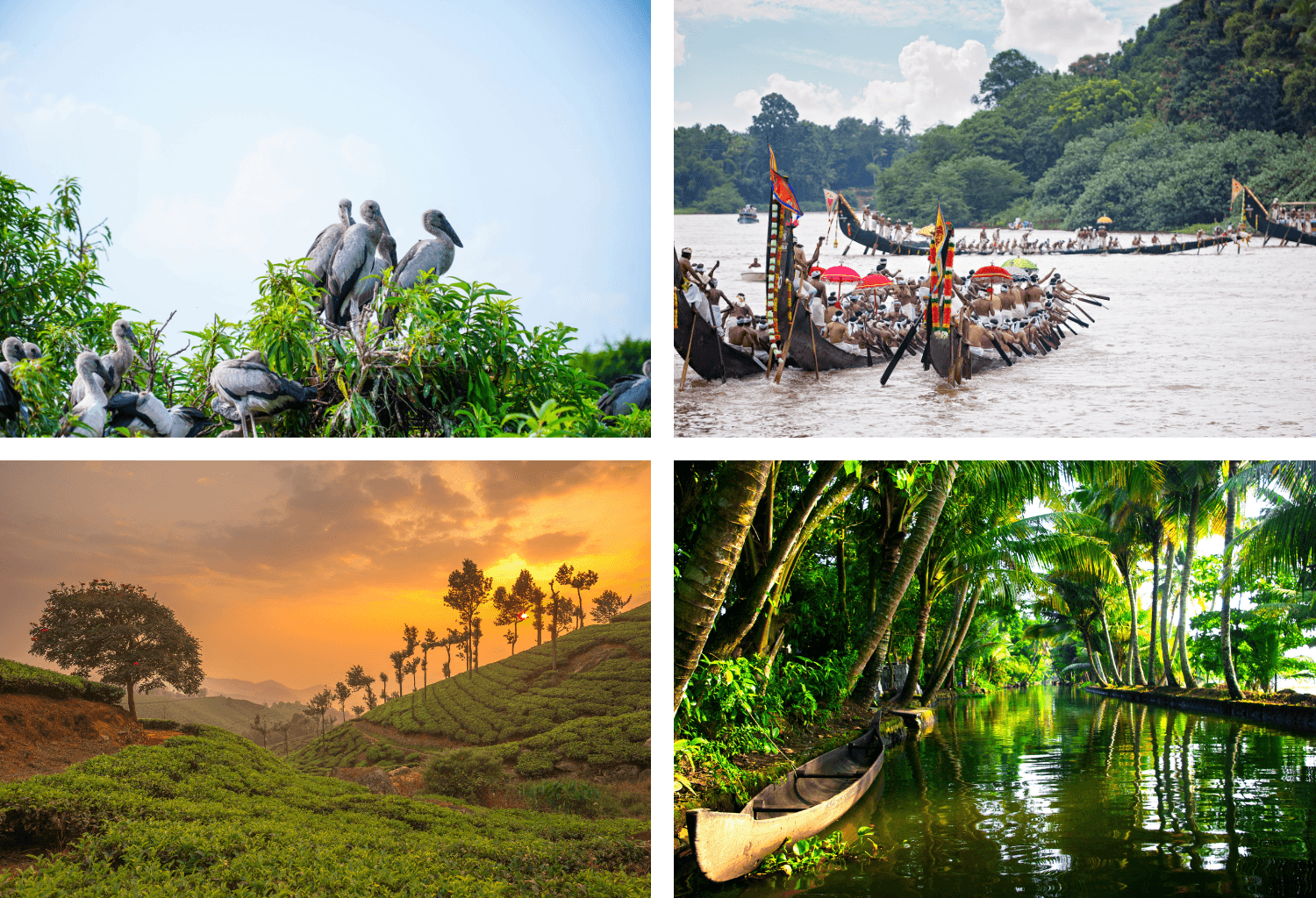 Circuit Les Splendeurs de l’Inde du Sud