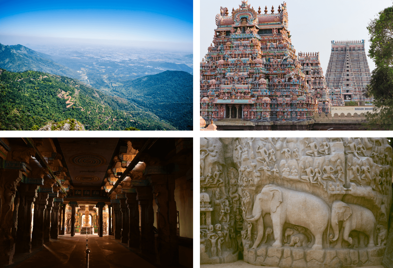 Voyage au Tamil Nadu