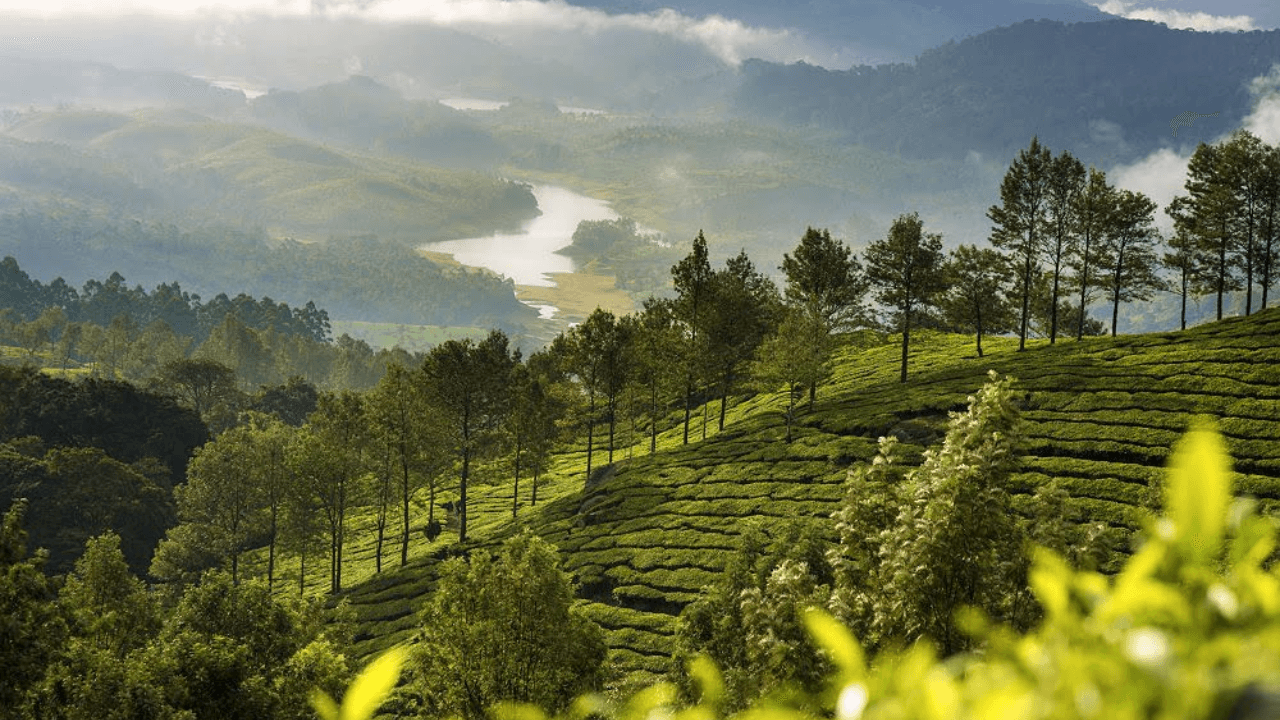 Voyage par le Vélo au Kerala