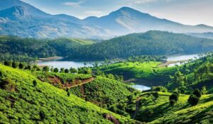 Randonnée au Kerala à Munnar : les plus beaux sentiers au cœur des plantations de théMunnar Kerala : que faire, que voir et comment visiter Munnar ?