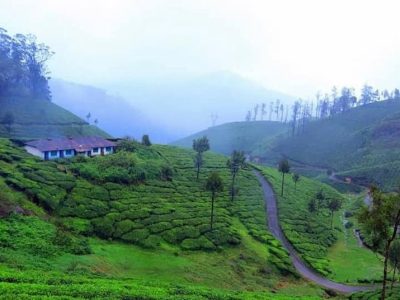 Munnar, Kerala