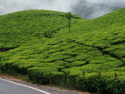 Itinéraire de 6 jours au Kerala