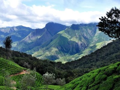 La meilleure période pour visiter Munnar