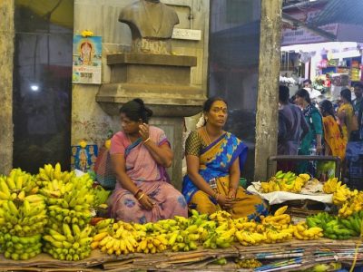 30 Meilleurs Endroits à Visiter dans le Sud de l’Inde 2024.