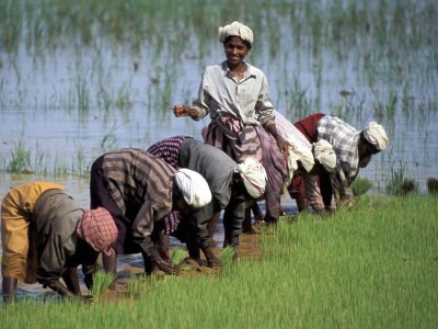 Où voyager en INDE DU SUD ?