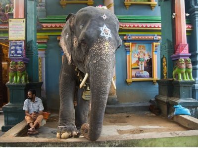Guide de Voyage de Pondichéry, “patrimoine français en Inde”