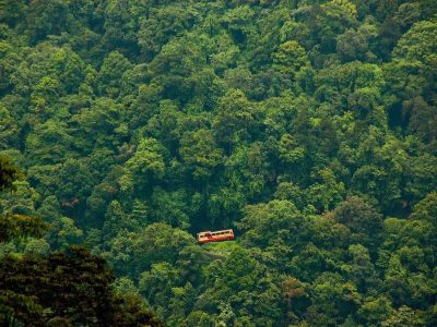 Top Station: Paysage Panoramique de Munnar