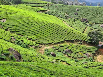 UN ITINÉRAIRE POUR L’INDE DU SUD